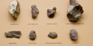 Figure 1: This is the Neanderthal Mousterian toolkit (American Museum of Natural History). These tools required precision and communication for teaching each generation to make, which suggests that Neanderthals had a cognitive capacity equal to that of Homo sapiens (Cho).